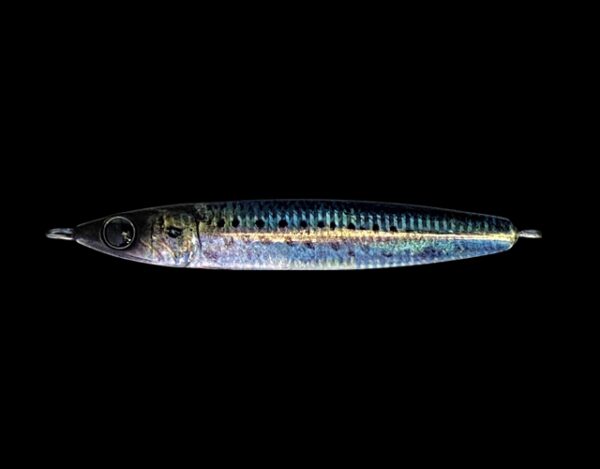 ZEAKE INTERNATIONALE - R SARDINE 30g - Image 2