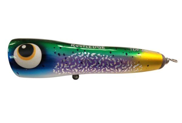 ASWB ReefsEDGE Roey pop 160 - Image 2