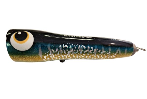 ASWB ReefsEDGE Roey pop 160 - Image 7