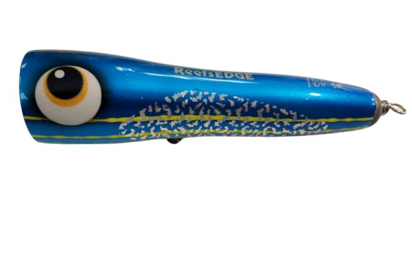 ASWB ReefsEDGE Roey pop 160 - Image 13
