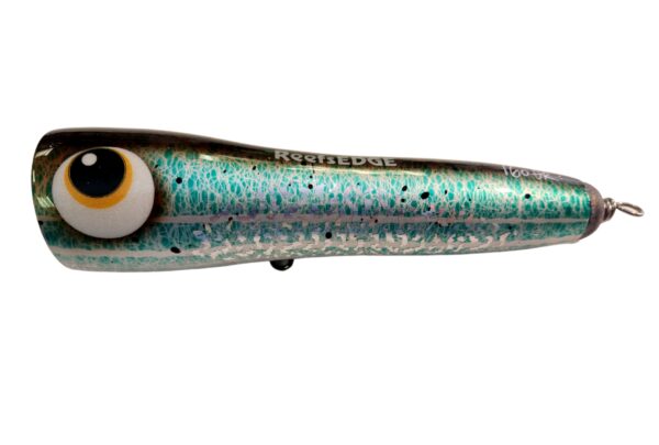 ASWB ReefsEDGE Roey pop 160 - Image 14