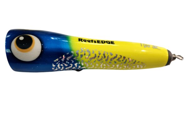 ASWB ReefsEDGE Roey pop 160 - Image 16
